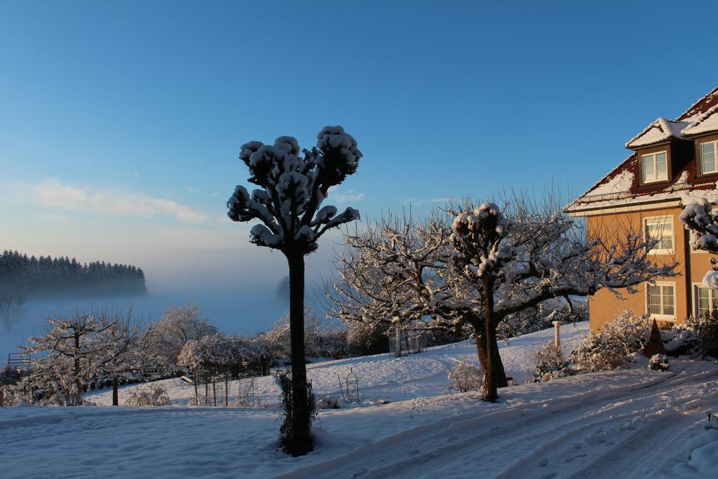 Gaestehaus Schloss Kronburg Bagian luar foto